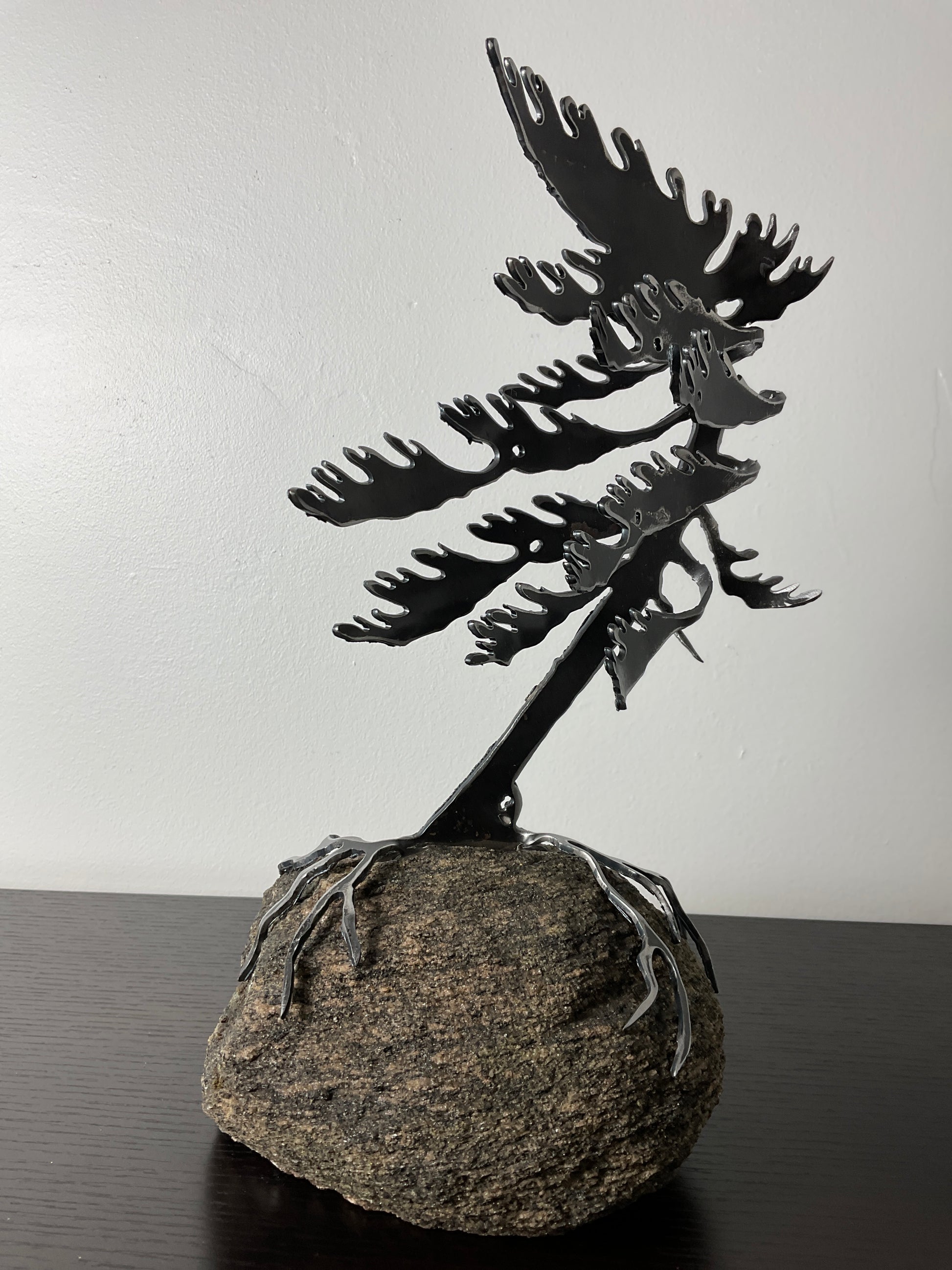 Cathy Mark windswept tree on granite