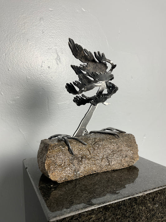 Cathy Mark windswept pine on granite