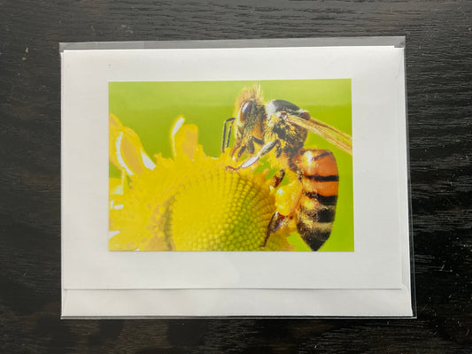 Patti Parker Photography Note Cards