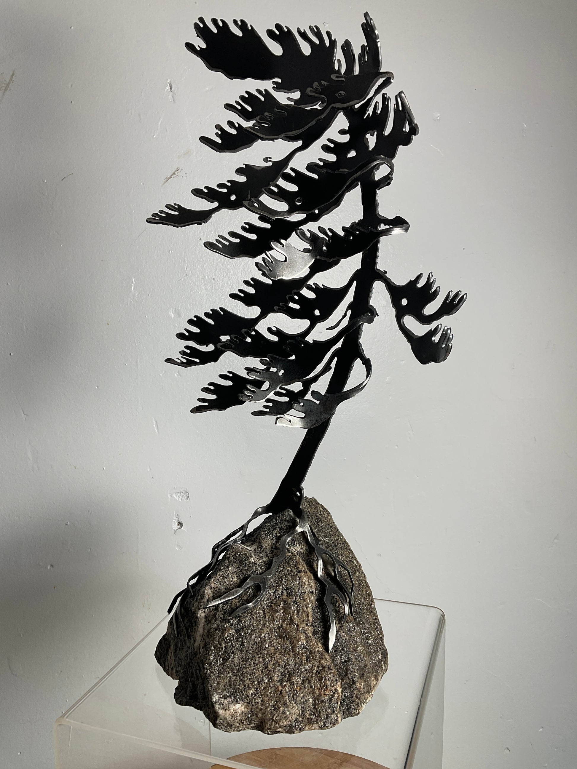 Cathy Mark windswept pine on granite