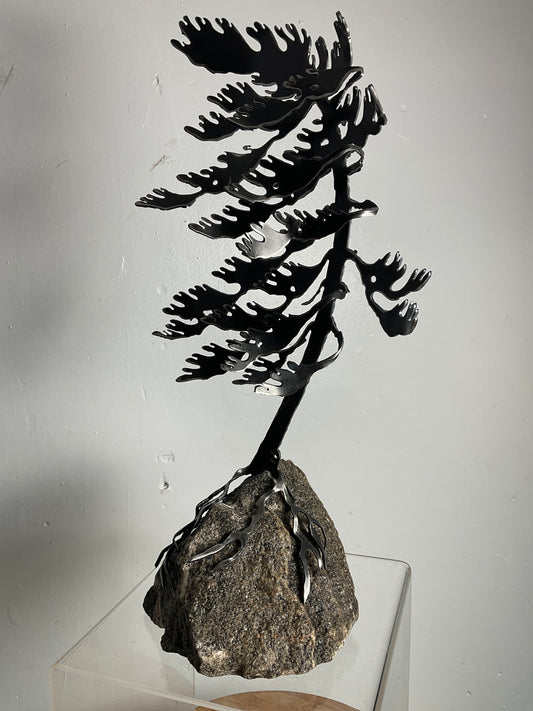 Cathy Mark windswept pine on granite