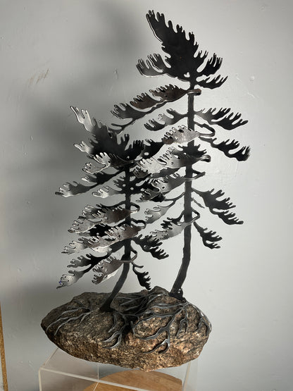 Cathy Mark windswept pines on granite