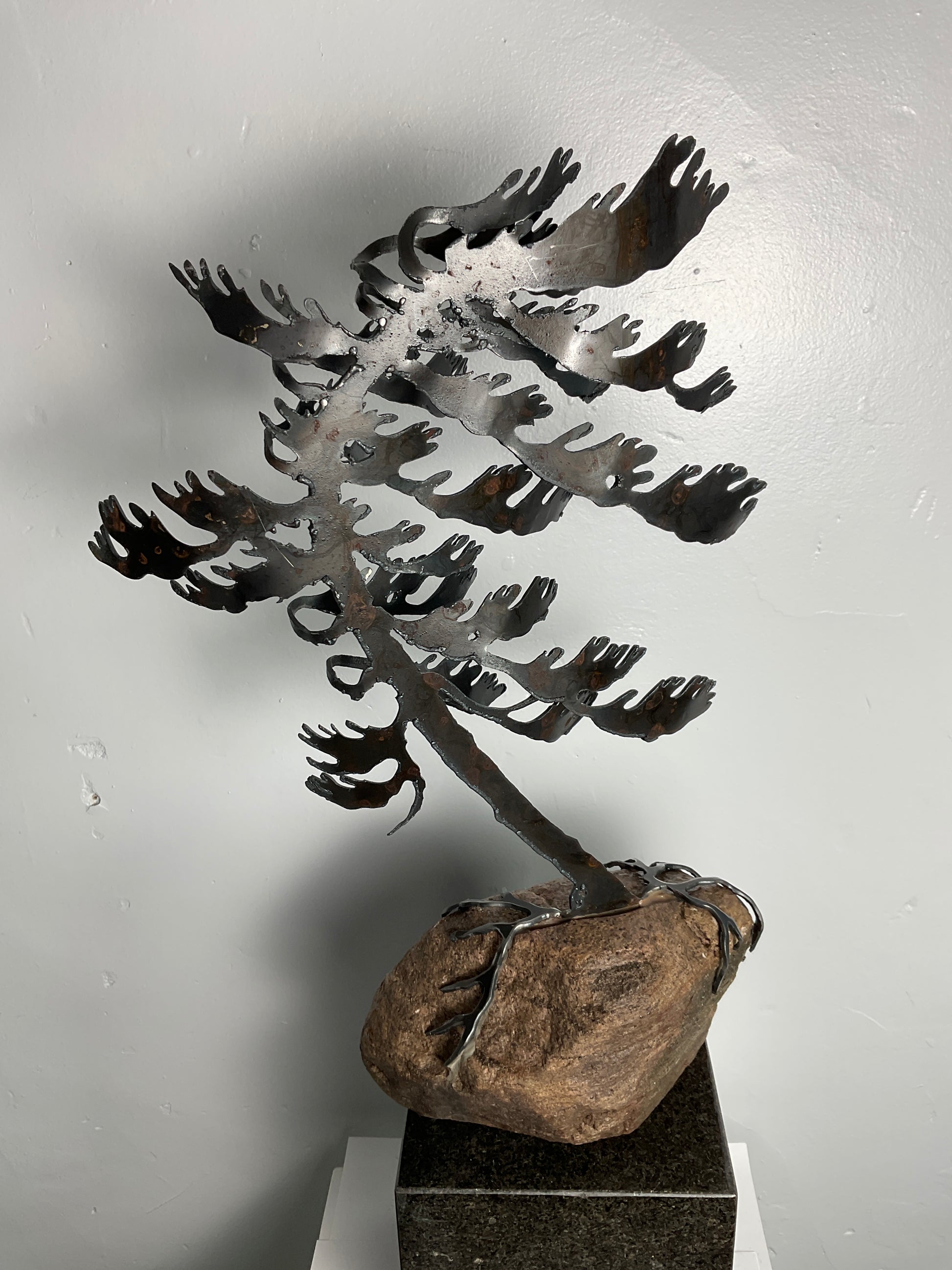 Cathy Mark windswept pine on granite