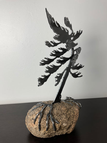 Cathy Mark windswept tree on granite