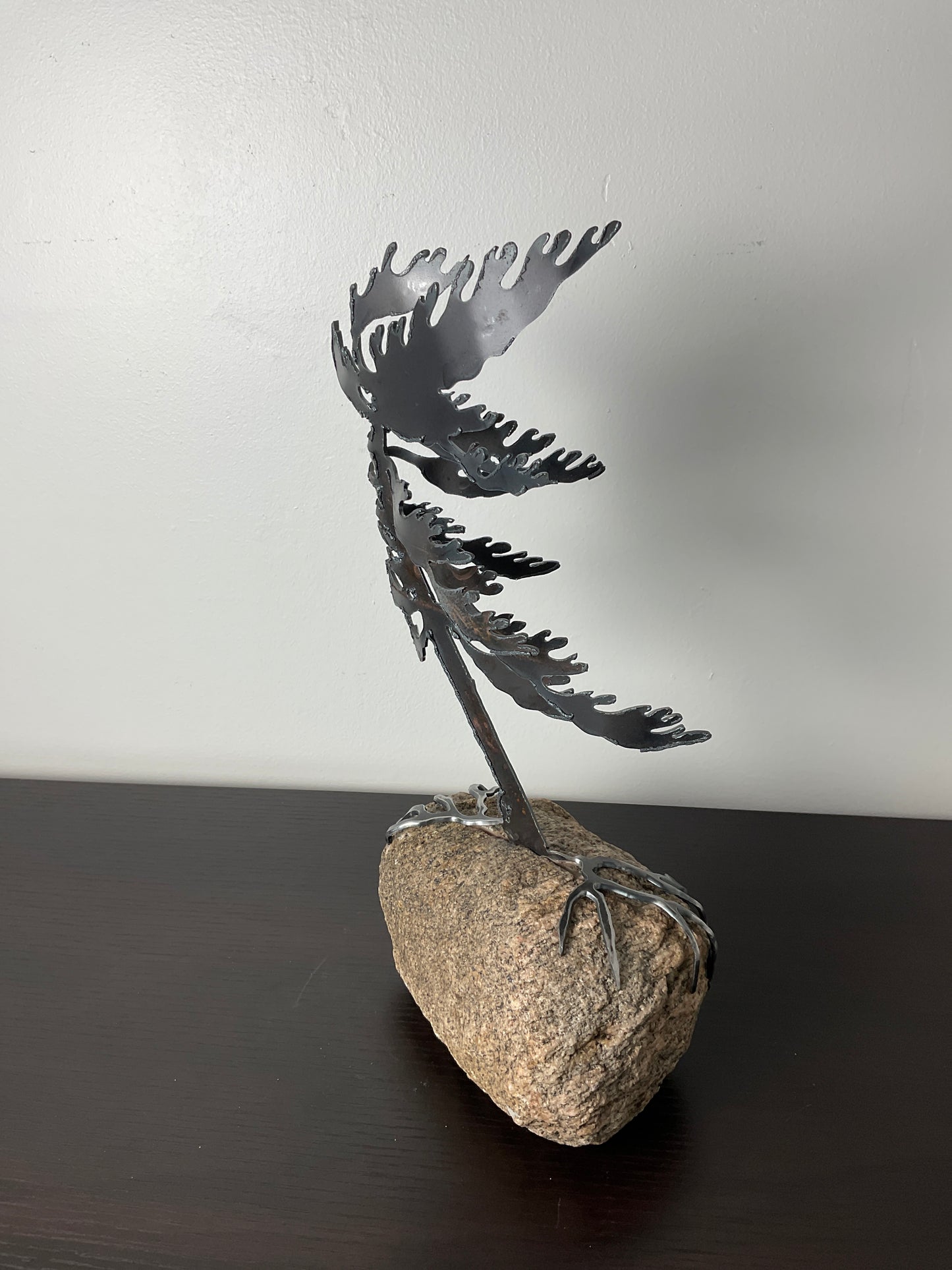 Cathy Mark windswept tree on granite