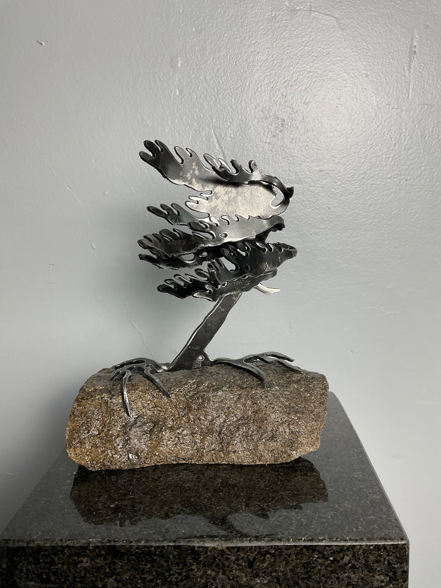 Cathy Mark windswept pine on granite