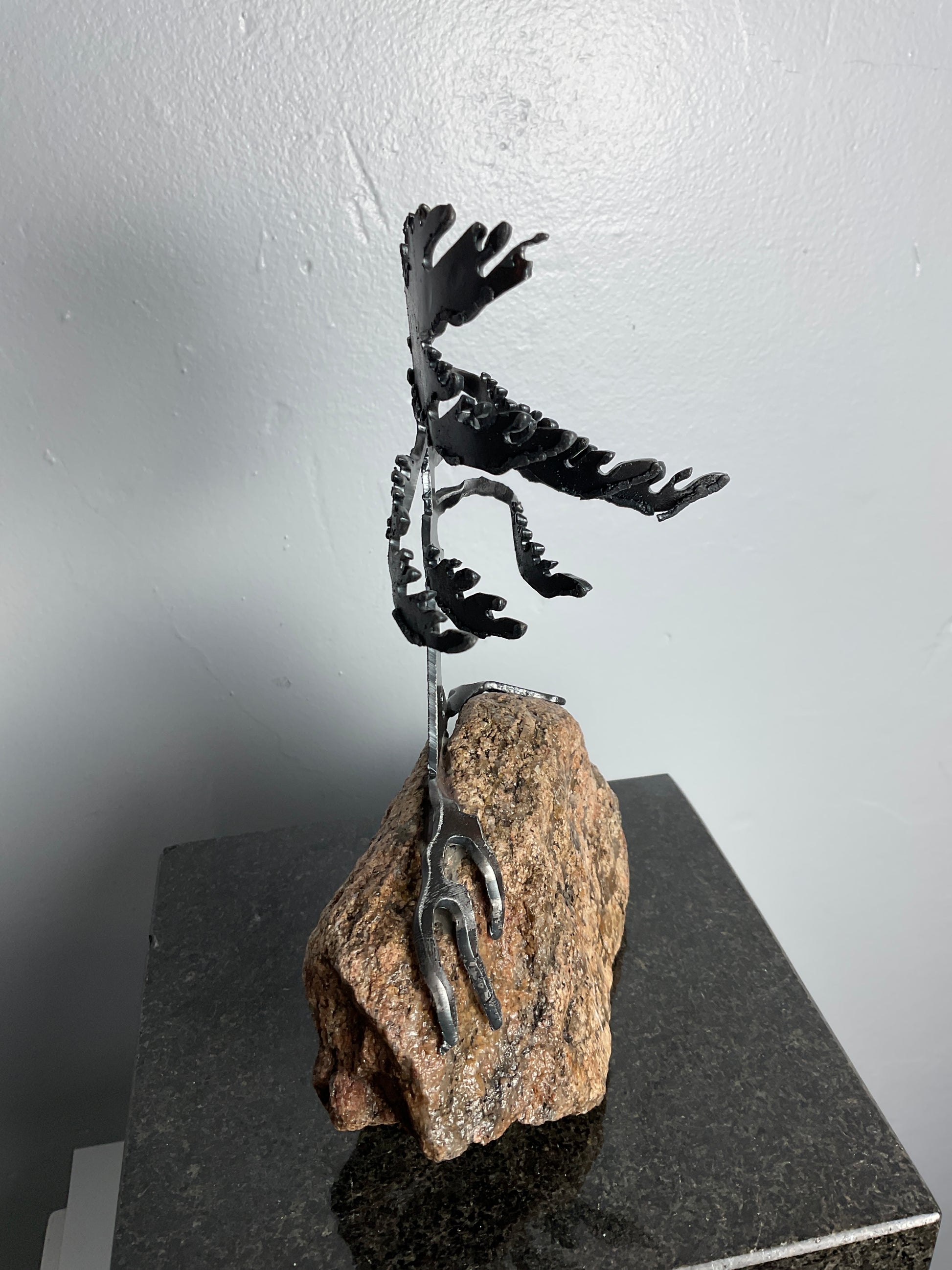 Cathy Mark windswept pine on granite