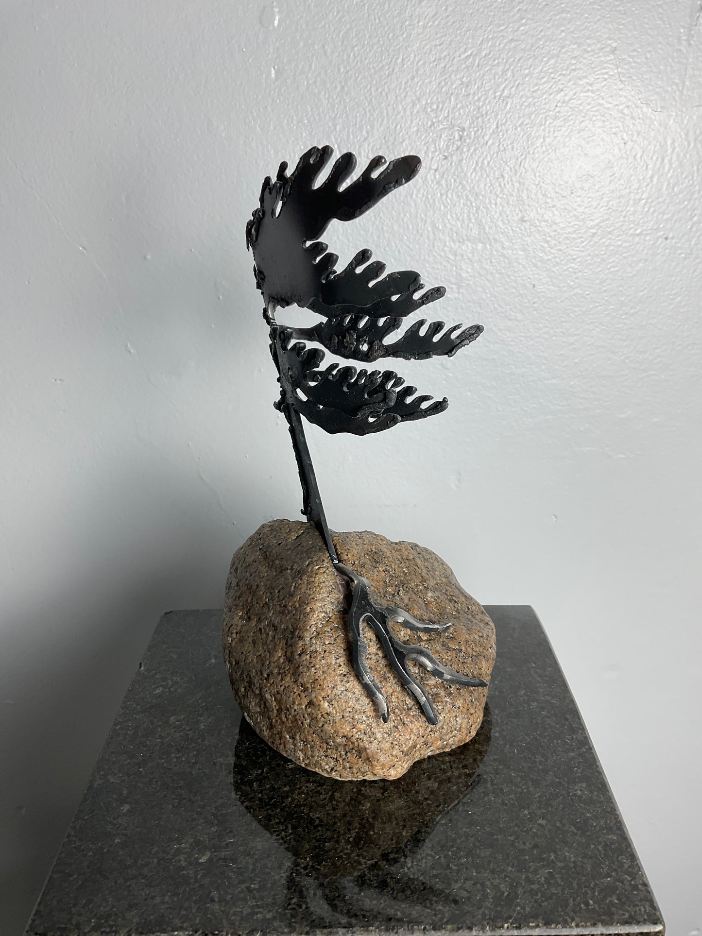 Cathy Mark windswept pine on granite