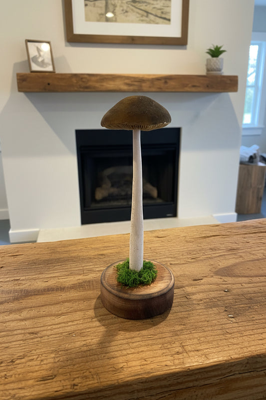 Wooden carved mushroom by Adam Mack