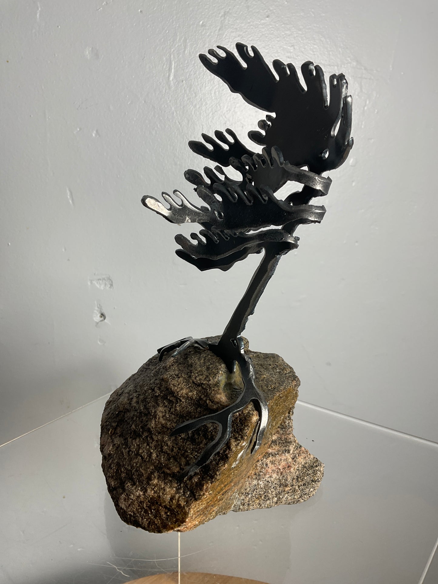 Cathy Mark windswept pine on granite