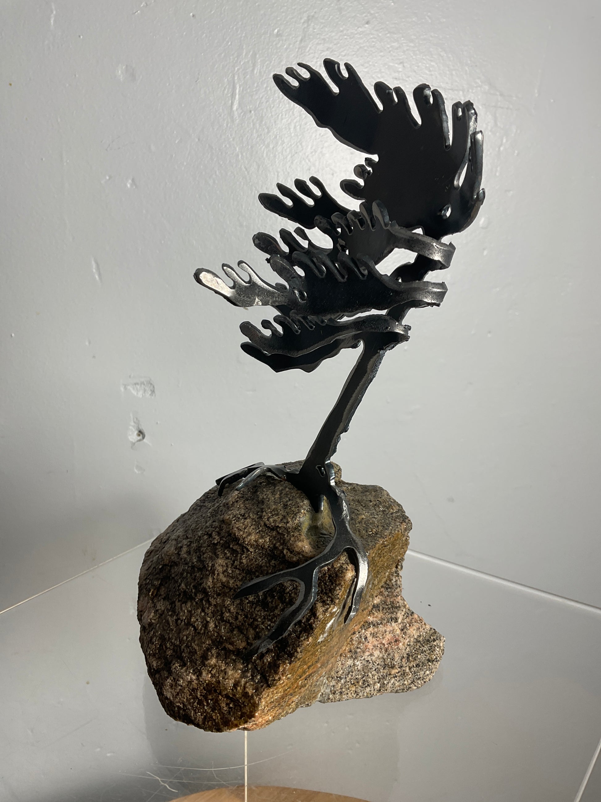 Cathy Mark windswept pine on granite
