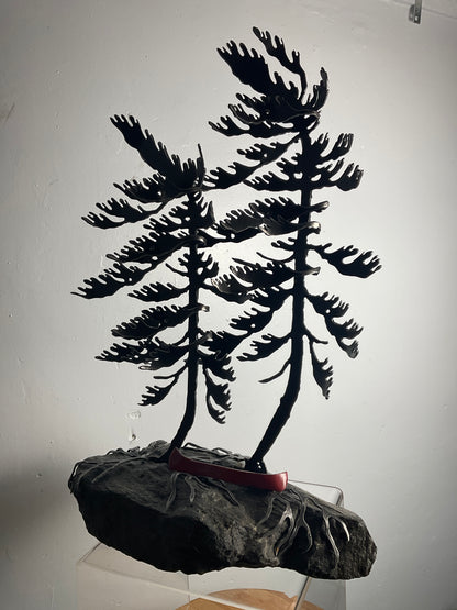 Cathy Mark windswept pines with canoe on granite