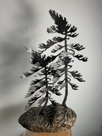 Cathy Mark windswept pines on granite