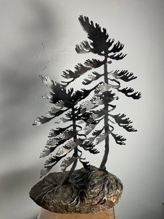 Cathy Mark windswept pines on granite