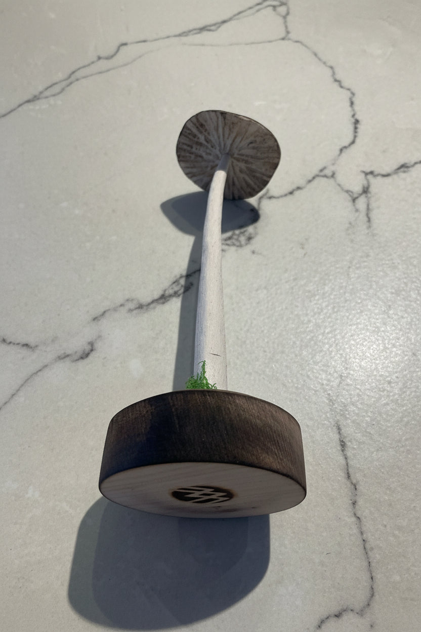 Wooden carved mushroom by Adam Mack