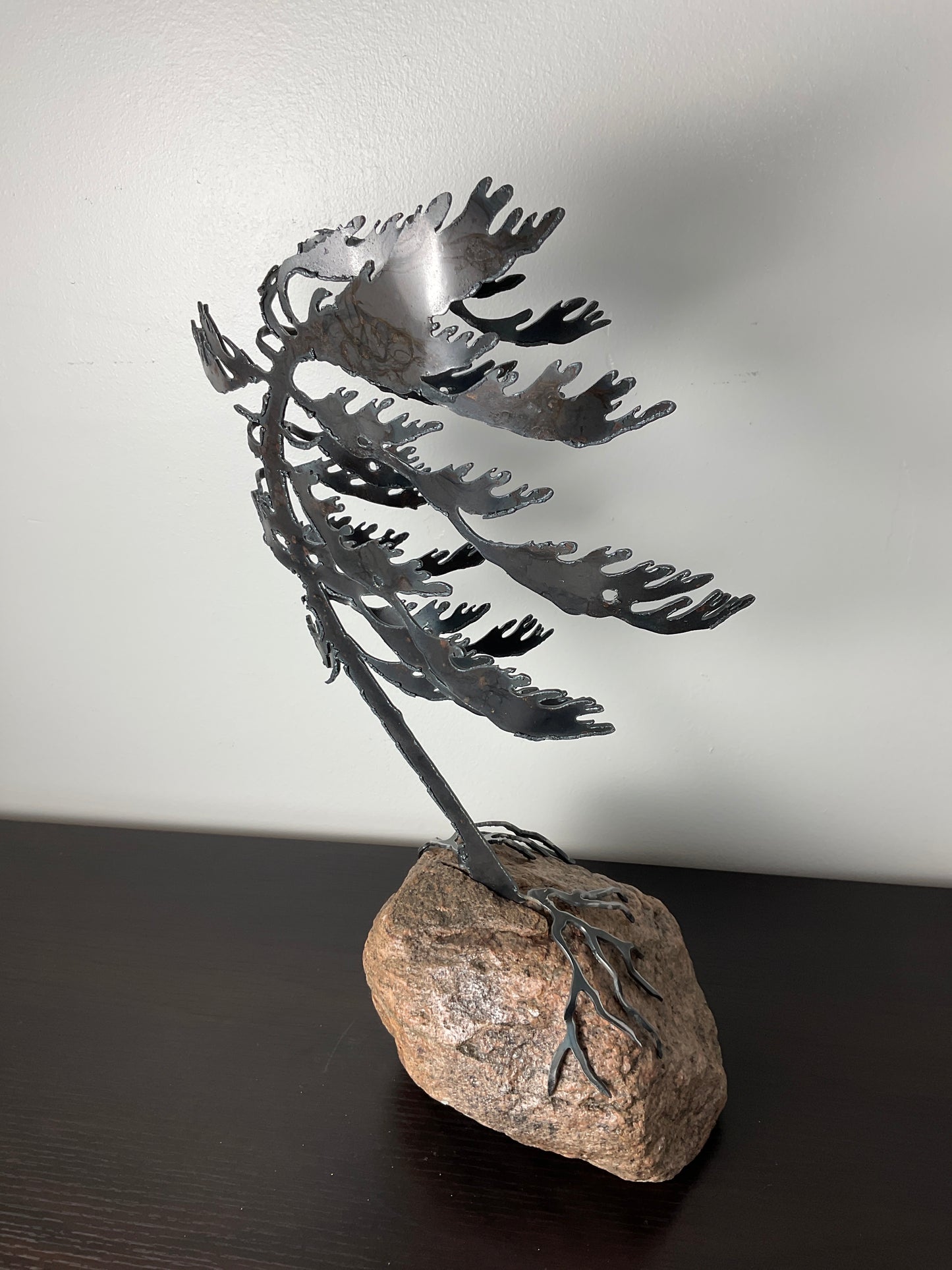 Cathy Mark windswept tree on granite