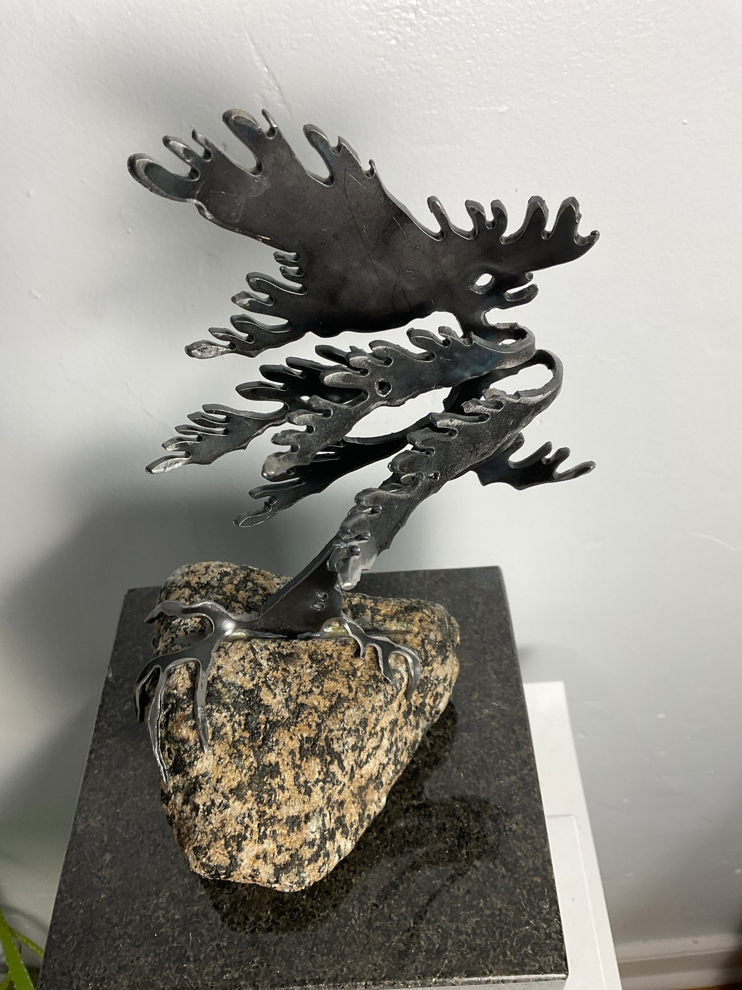 Cathy Mark windswept pine on granite
