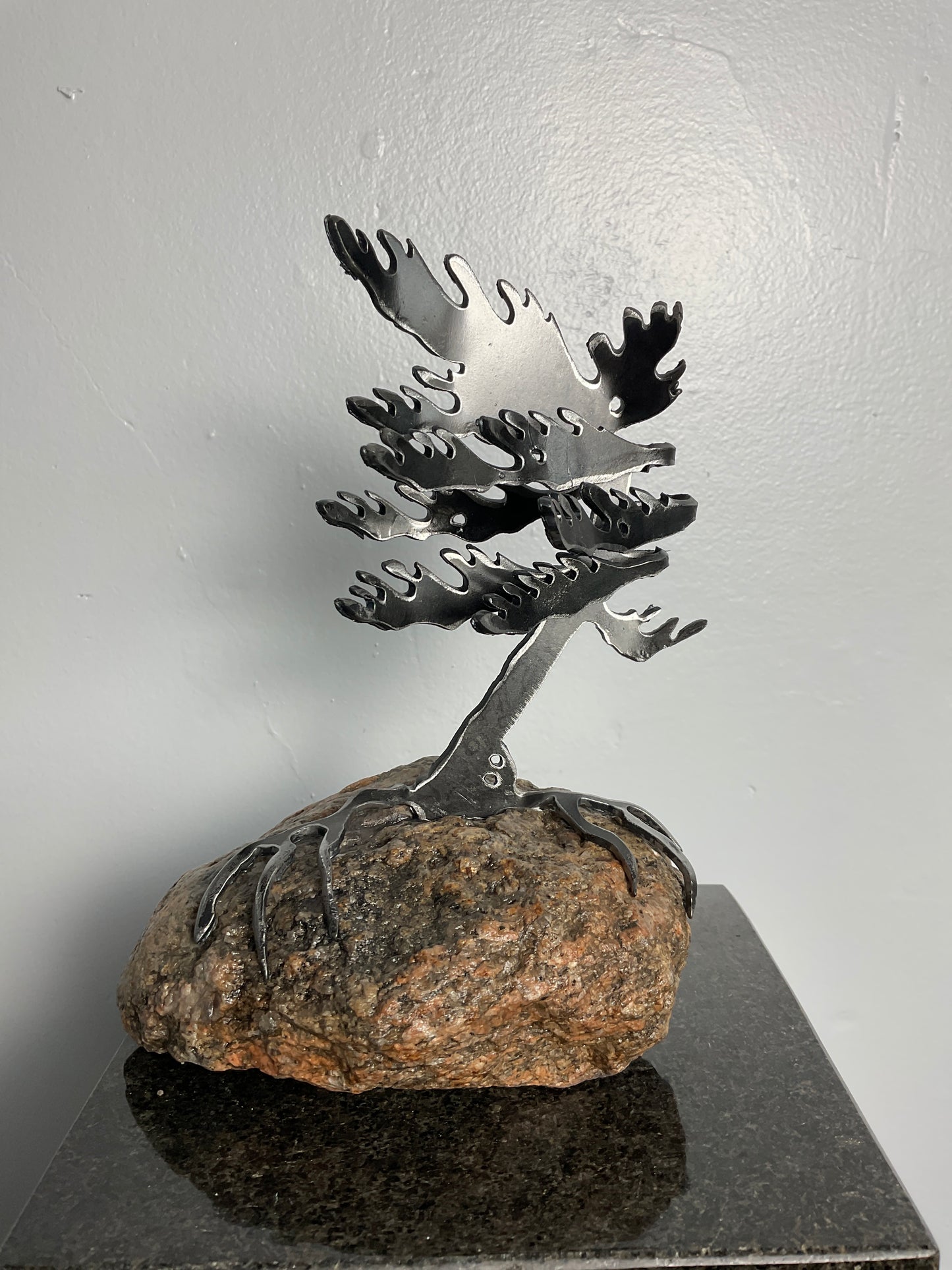 Cathy Mark windswept pine on granite