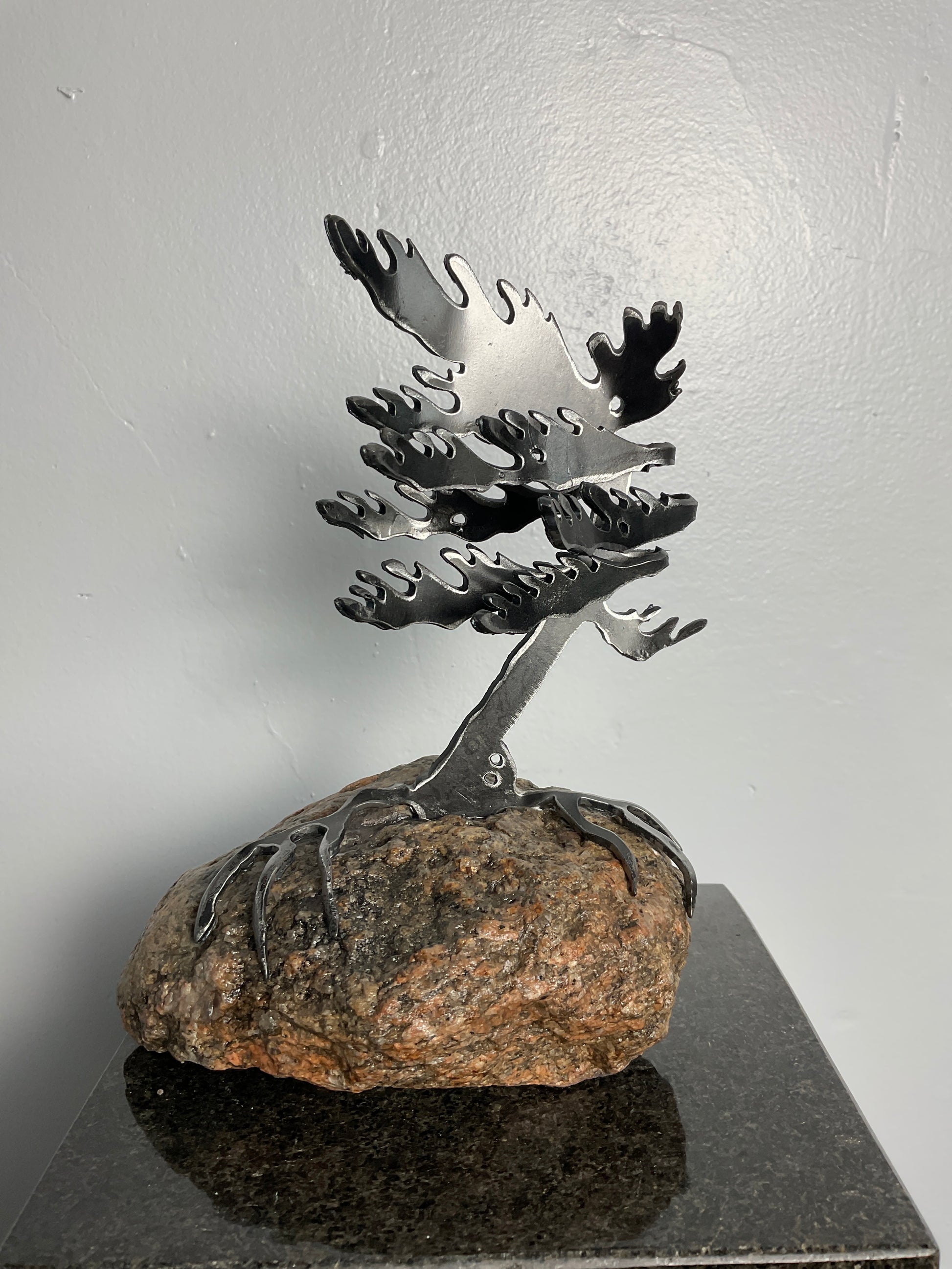 Cathy Mark windswept pine on granite