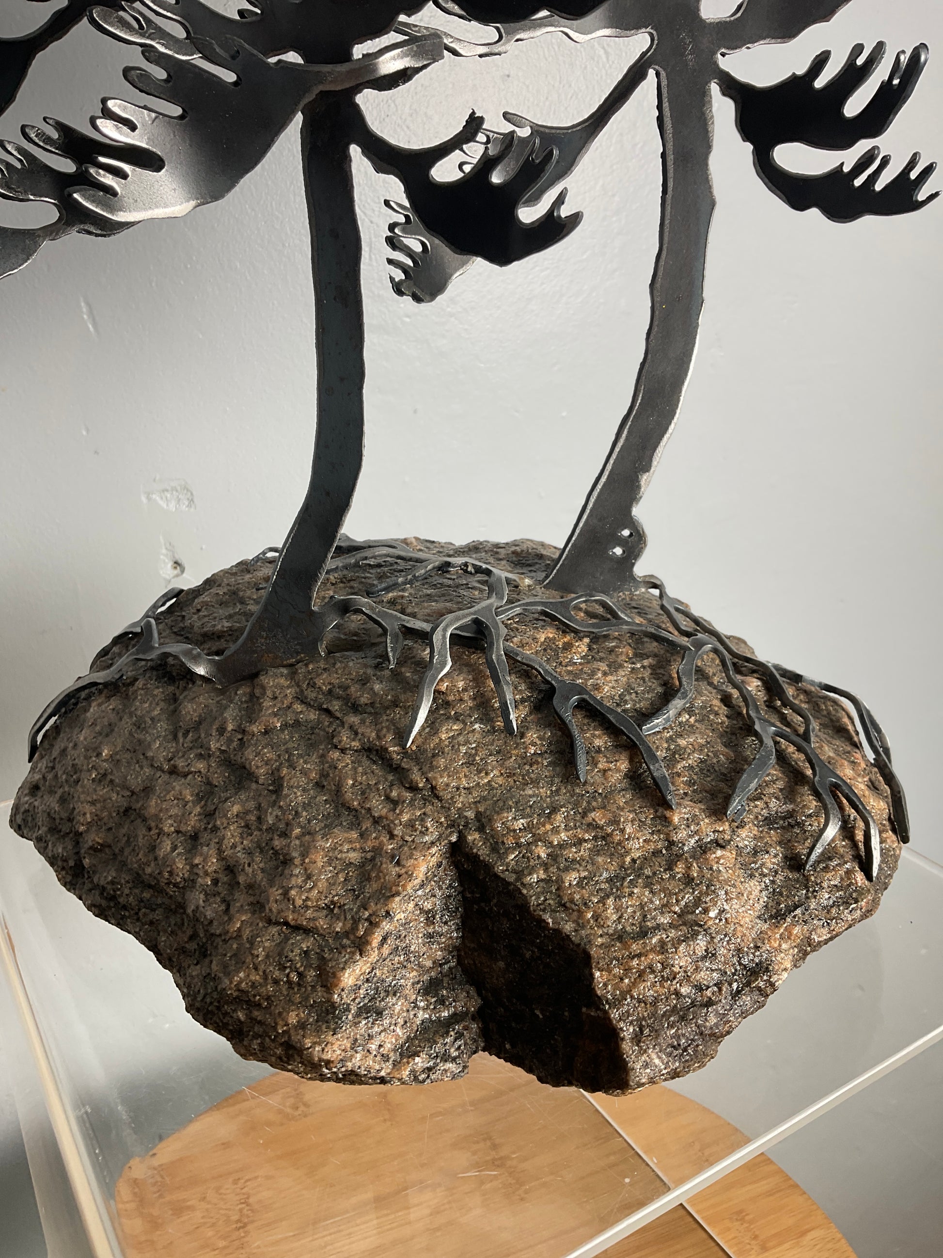 Cathy Mark windswept pine on granite