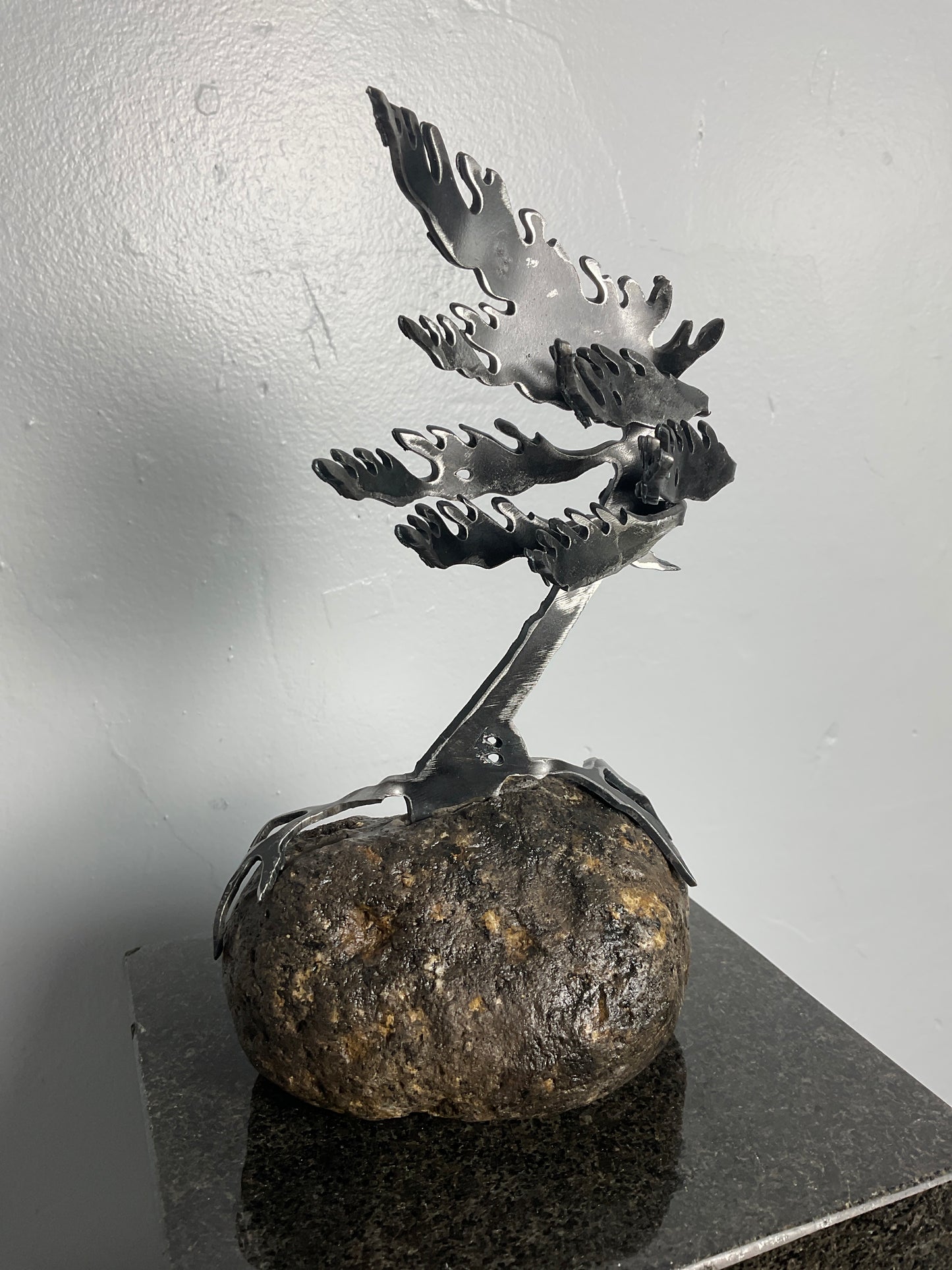 Cathy Mark windswept tree on granite