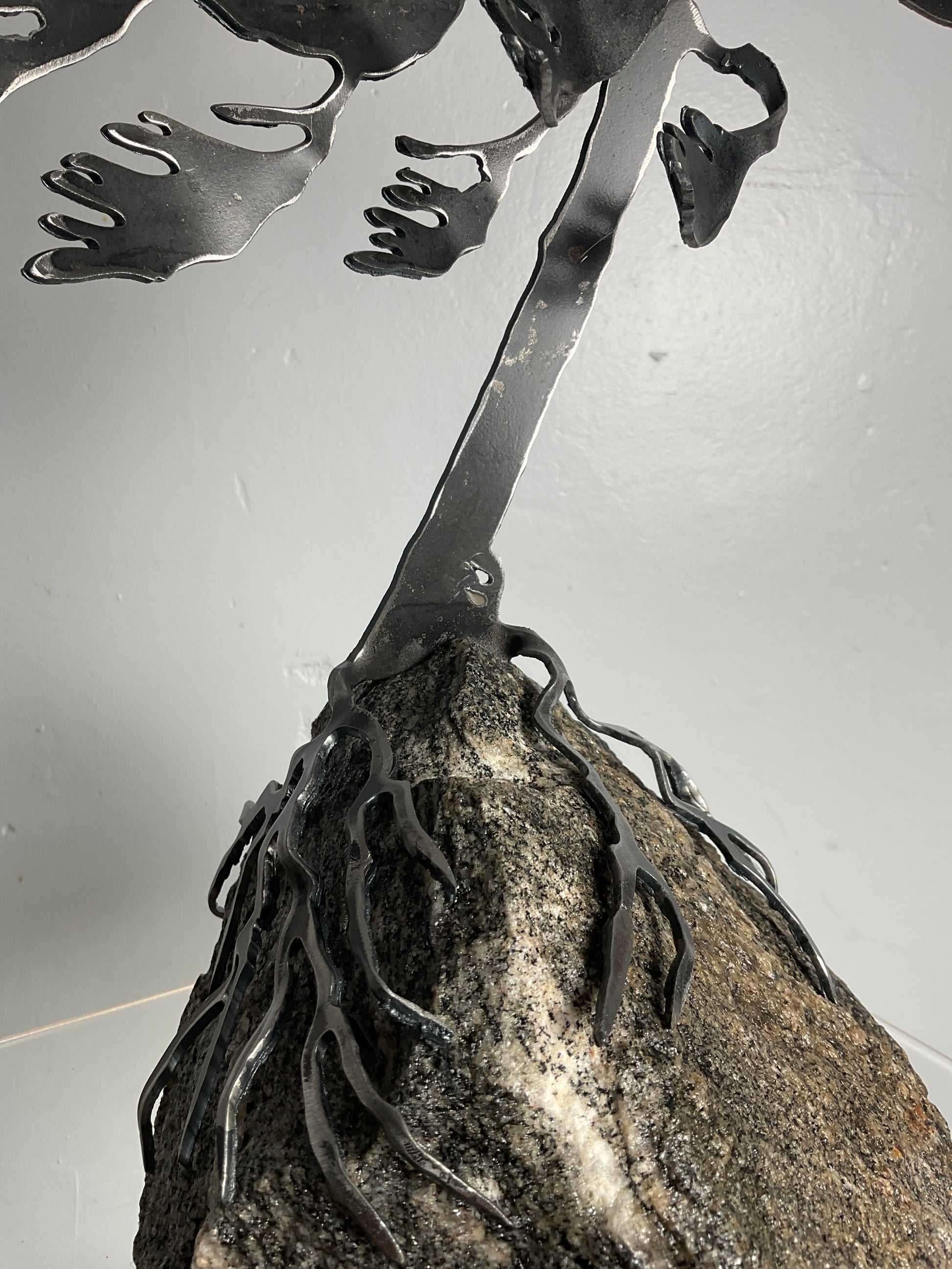 Cathy Mark windswept pine on granite