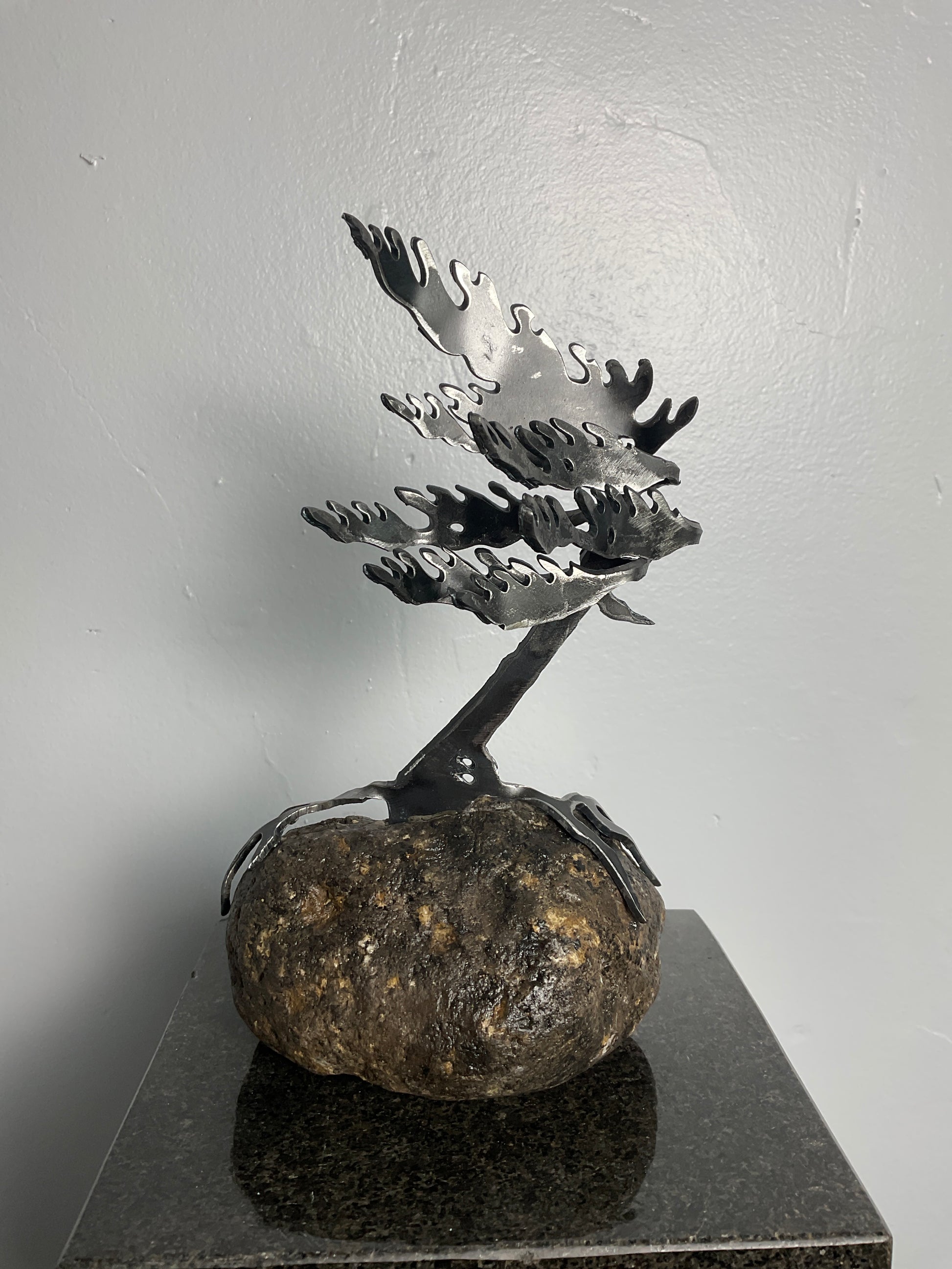 Cathy Mark windswept tree on granite