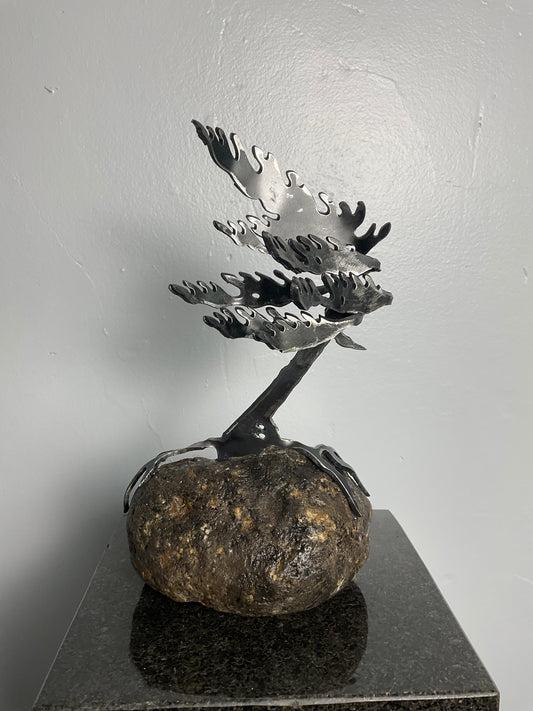 Cathy Mark windswept tree on granite