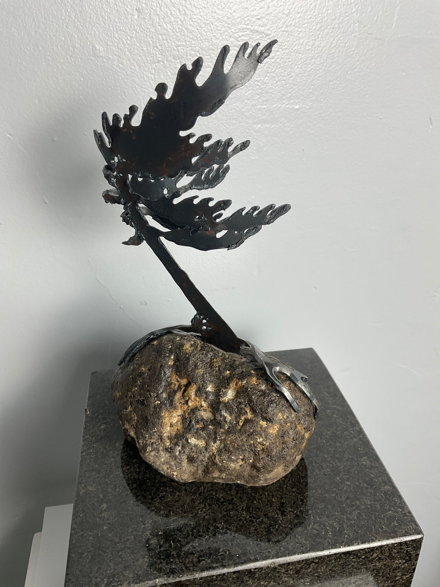 Cathy Mark windswept tree on granite