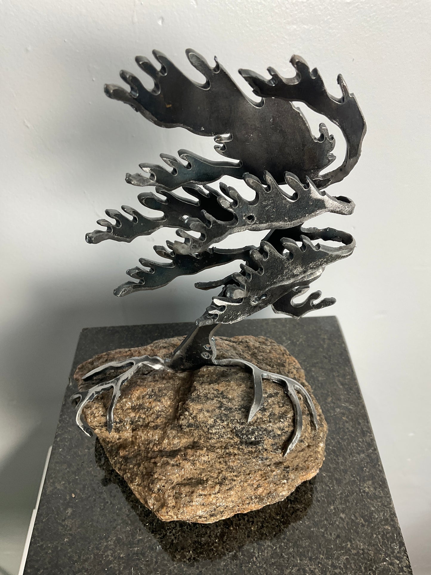 Cathy Mark windswept tree on stone