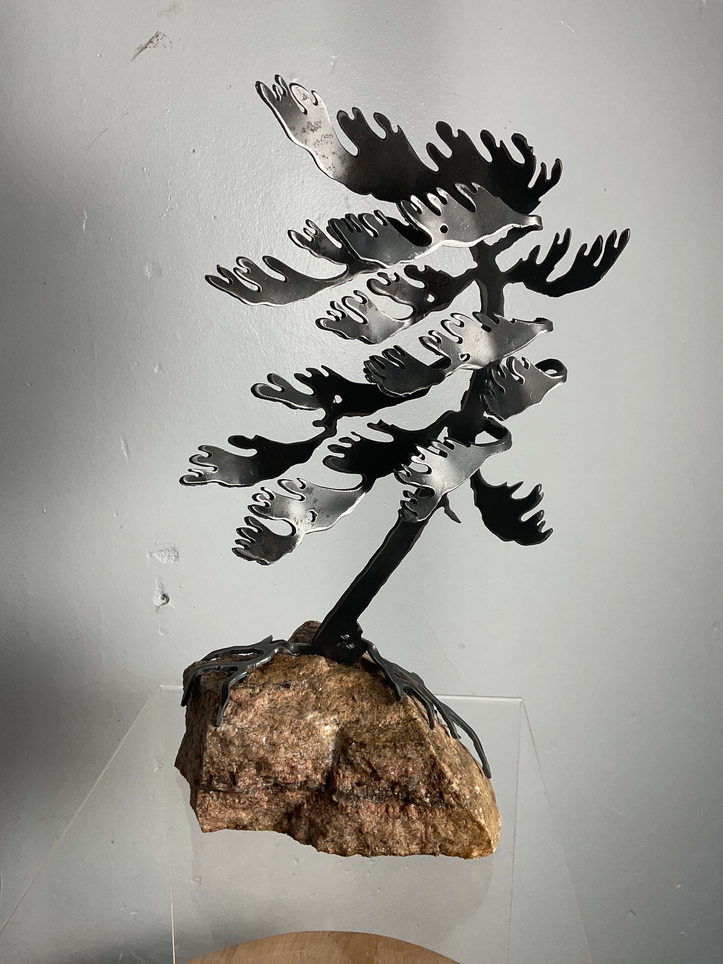 Cathy Mark windswept pine on stone