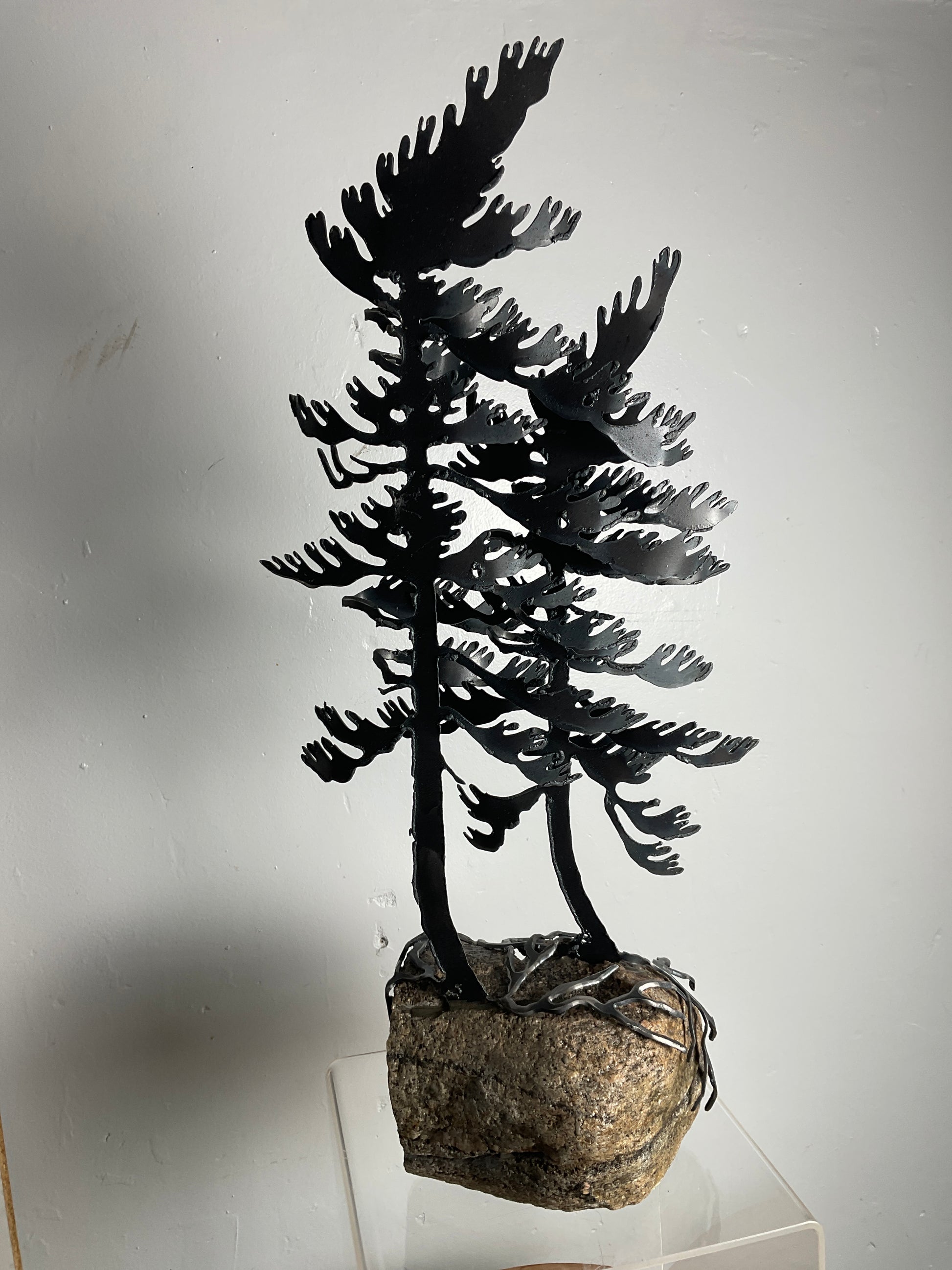 Cathy Mark windswept pine on granite