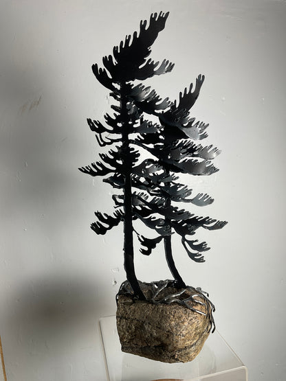 Cathy Mark windswept pine on granite