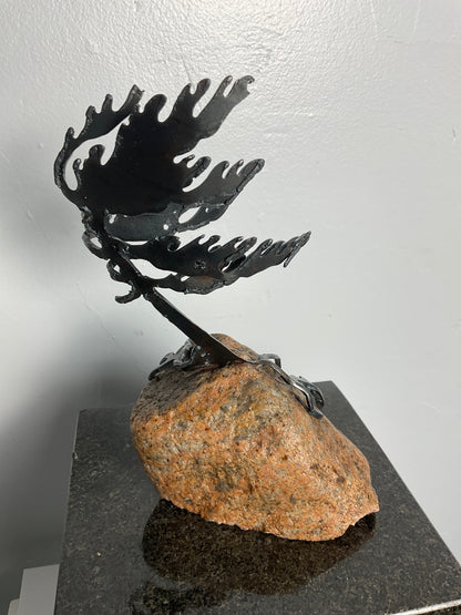 Cathy Mark windswept pine on granite
