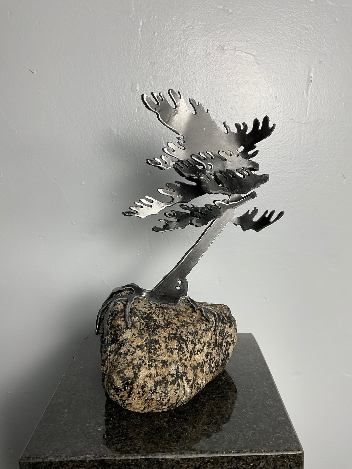 Cathy Mark windswept pine on granite