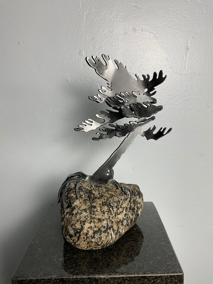 Cathy Mark windswept pine on granite