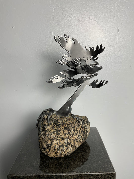 Cathy Mark windswept pine on granite