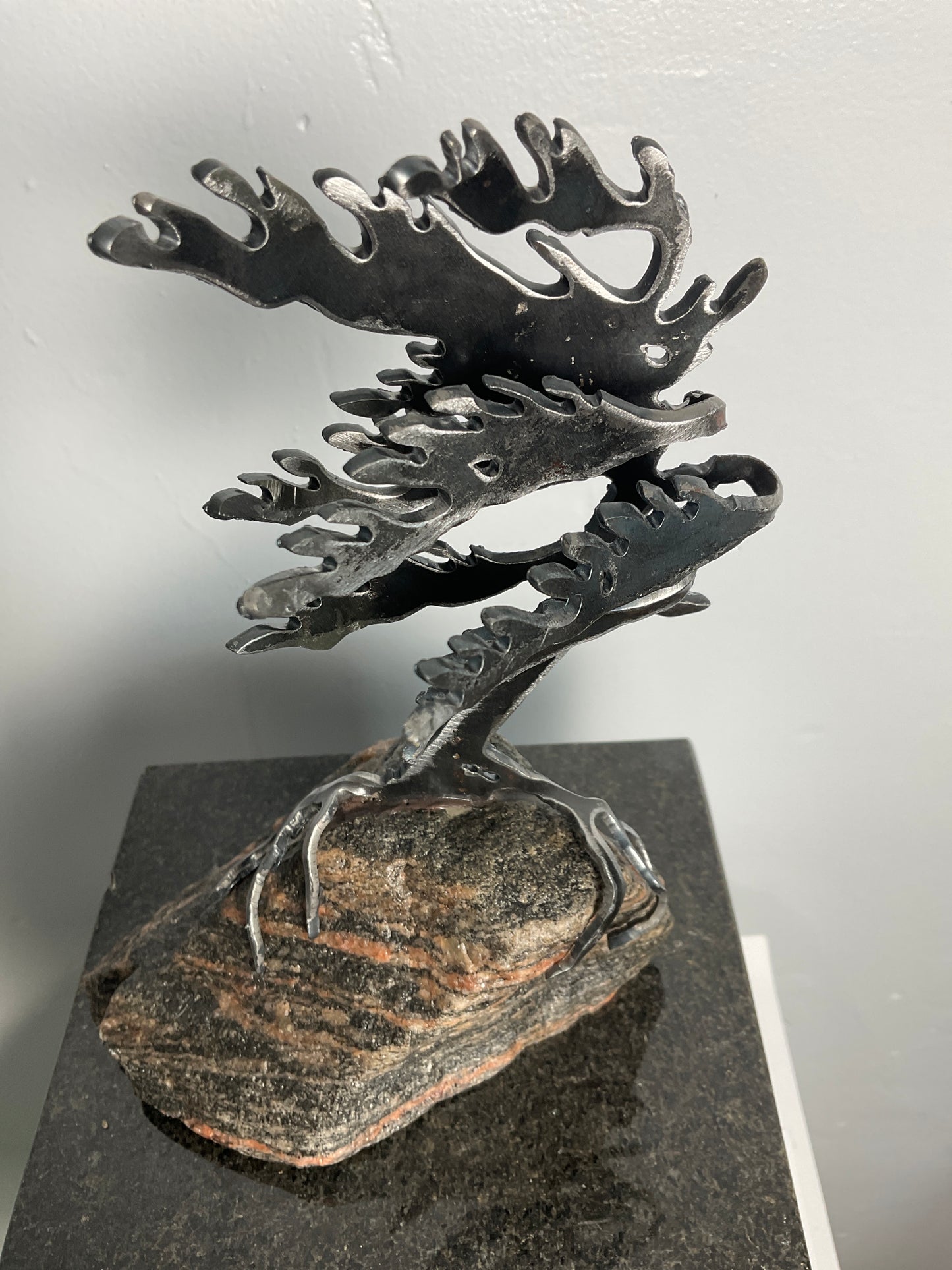 Cathy Mark windswept tree on granite