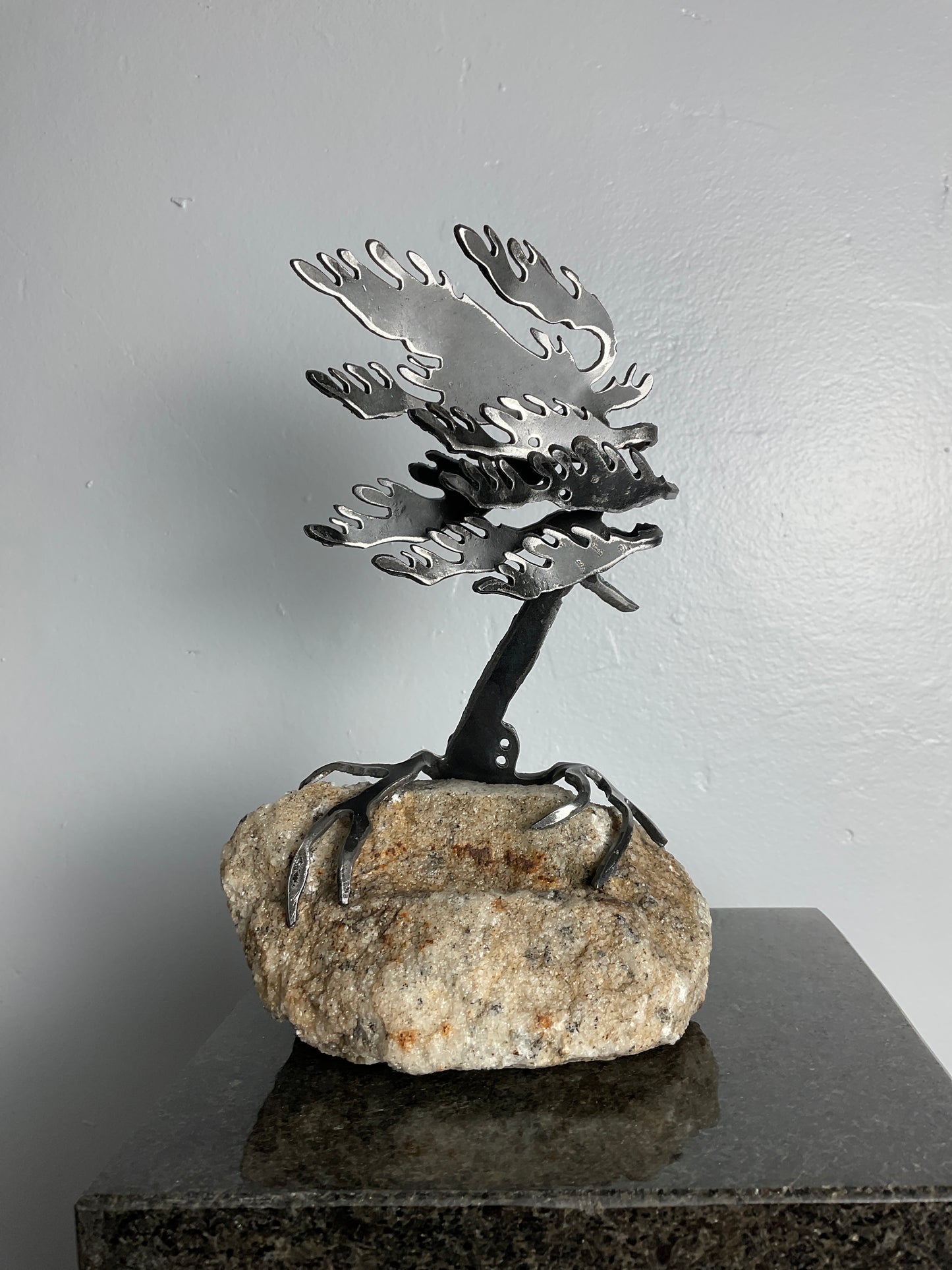 Cathy Mark windswept pine on granite