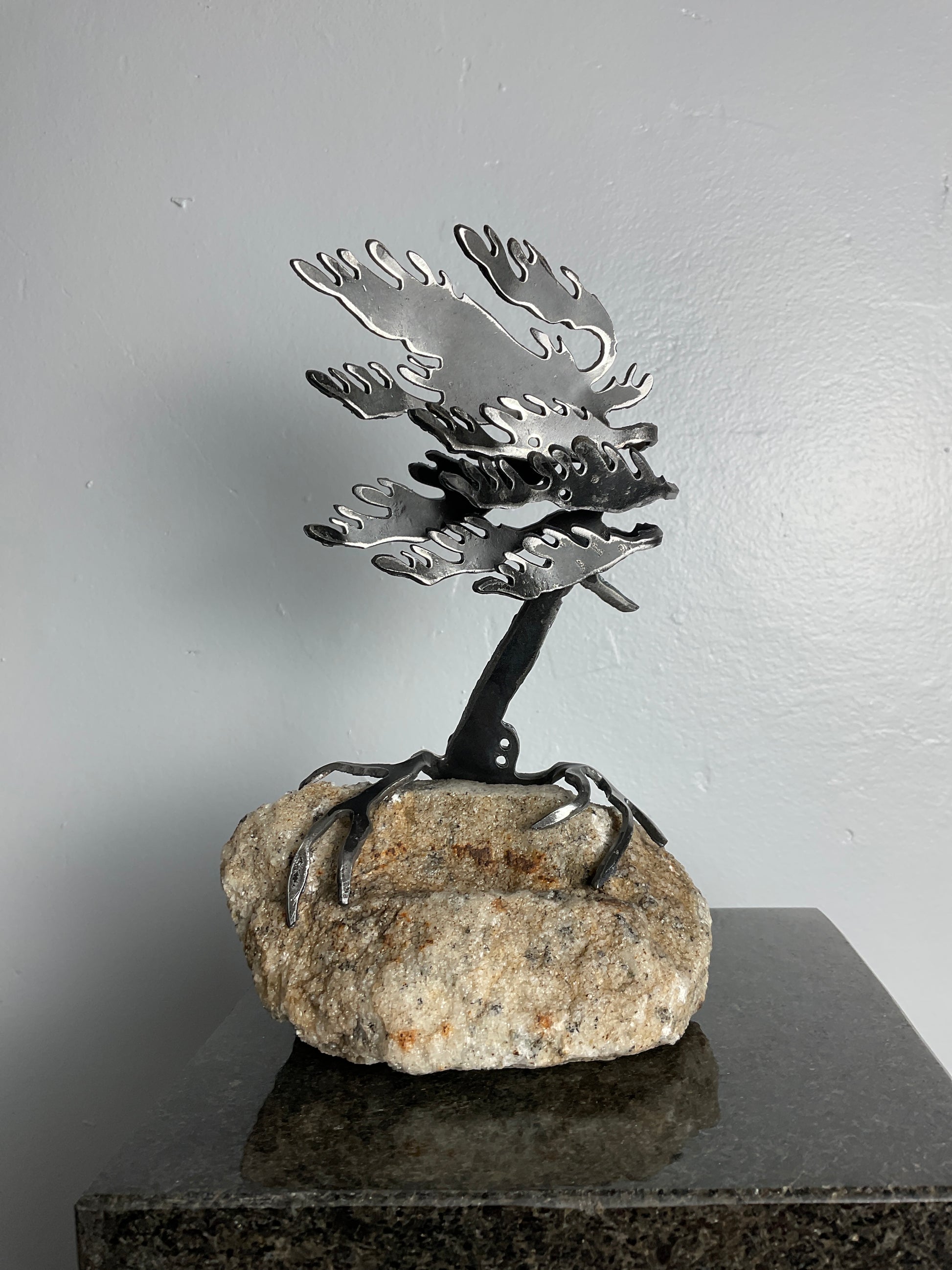 Cathy Mark windswept pine on granite