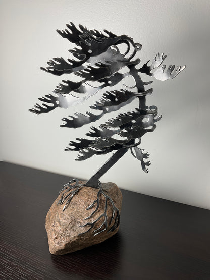 Cathy Mark windswept tree on granite