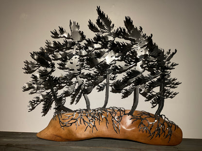 Cathy Mark windswept trees on oak