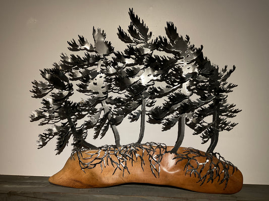 Cathy Mark windswept trees on oak