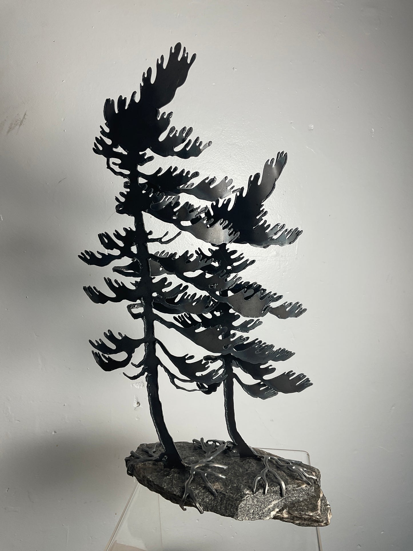 Cathy Mark windswept pine on granite