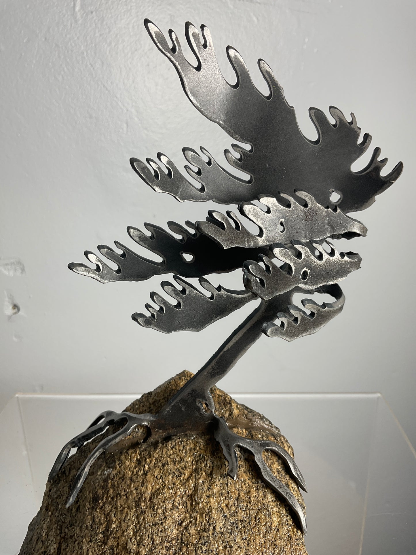 Cathy Mark windswept pine on granite