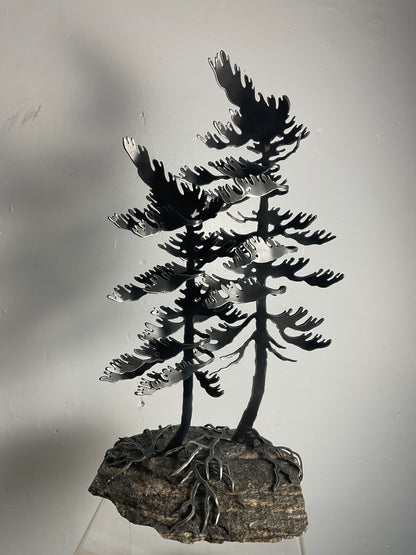 Cathy Mark windswept pine on granite