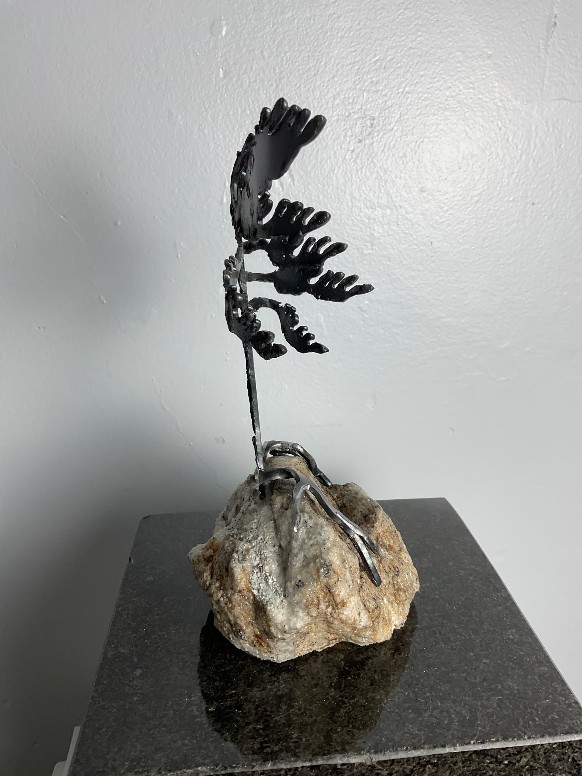 Cathy Mark windswept pine on granite