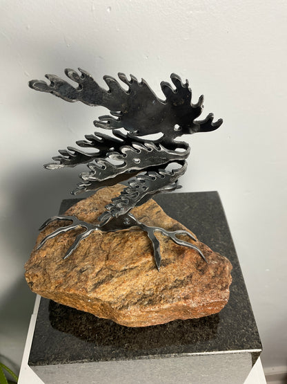 Cathy Mark windswept tree on granite