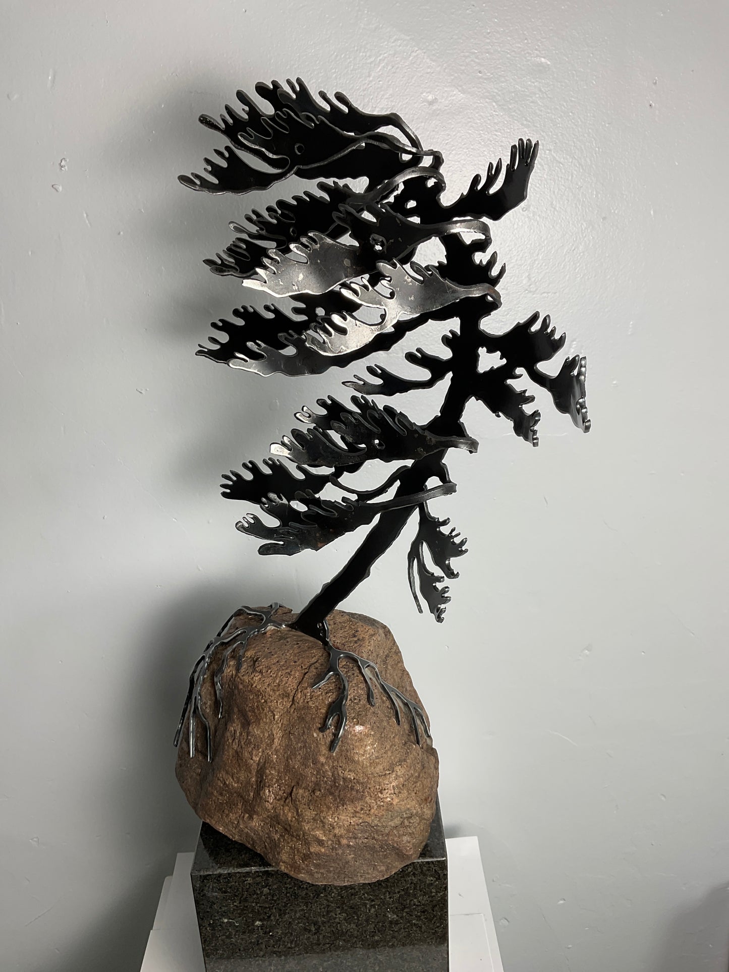 Cathy Mark windswept pine on granite