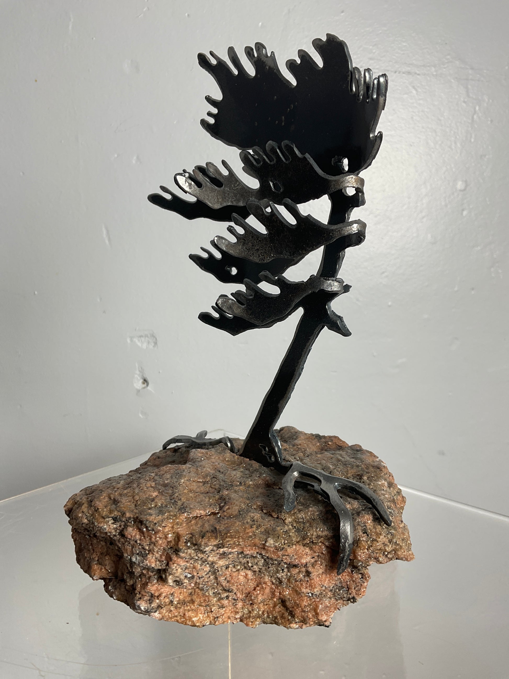 Cathy Mark windswept pine on granite